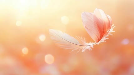 Delicate Pink Feather Floating on Ethereal Background with Bokeh