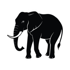 Fototapeta premium elephant vector illustration