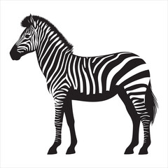 Obraz premium Silhouette vector of a zebra standing on a white background