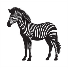 Obraz premium Silhouette vector of a zebra standing on a white background