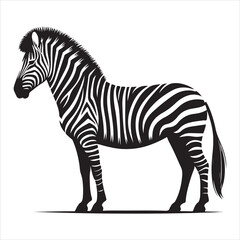 Fototapeta premium Silhouette vector of a zebra standing on a white background