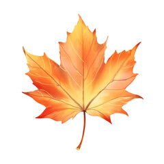 Watercolor leaf botanical 