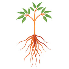 dodder on-white-background.eps