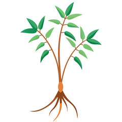 dodder-on-white-background.eps