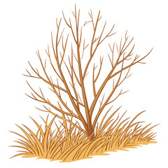 -dried-grass-bush-isolated-on-transparent-background