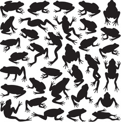 "Jumping Frog Silhouette Vector"

"Cute Cartoon Frog Clipart"

"Tree Frog Outline Design"

"Frog on Lily Pad Silhouette"

"Tropical Amphibian Frog Vector Art"