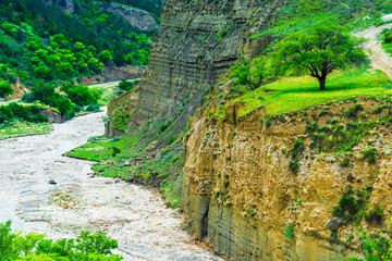 Picturesque mountain landscape with a lonely tree on the steep bank of a mountain river. Caucasus