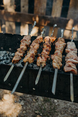 Delicious grilled meat on a barbecue. Close up. Picnic menu.