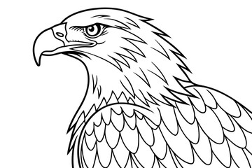 coloring page line art the eagle black vector