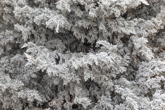 Winter landscape background