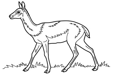 coloring page line art the vicuna black vector