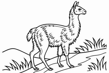 coloring page line art the vicuna black vector