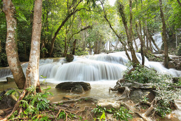 waterfall in the forest at nation park