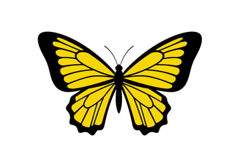 Black and Yellow Butterfly Illustration | Tropical Insect Clipart | Colorful Winged Bug Drawing | Nature Wildlife Art | Exotic Garden Design

