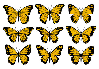 Black and Yellow Butterfly Illustration | Tropical Insect Clipart | Colorful Winged Bug Drawing | Nature Wildlife Art | Exotic Garden Design

