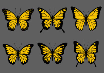 Black and Yellow Butterfly Illustration | Tropical Insect Clipart | Colorful Winged Bug Drawing | Nature Wildlife Art | Exotic Garden Design

