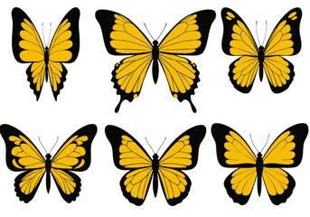 Black and Yellow Butterfly Illustration | Tropical Insect Clipart | Colorful Winged Bug Drawing | Nature Wildlife Art | Exotic Garden Design

