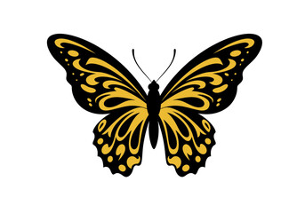 Black and Yellow Butterfly Illustration | Tropical Insect Clipart | Colorful Winged Bug Drawing | Nature Wildlife Art | Exotic Garden Design

