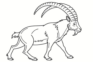 coloring page line art the ibex black vector