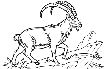 coloring page line art the ibex black vector