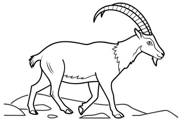 coloring page line art the ibex black vector