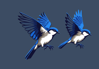 Blue Fairy Wren Bird Illustration | Small Songbird Clipart | Colorful Wildlife Art | Nature Feathered Animal Drawing | Cute Forest Bird Design

