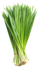 Fresh bundle of green lemongrass leaves isolated on transparent white background, clipping path
