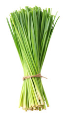 Obraz premium Fresh bundle of green lemongrass leaves isolated on transparent white background, clipping path