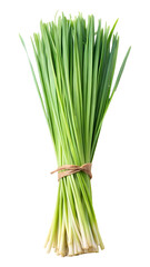 Fresh bundle of green lemongrass leaves isolated on transparent white background, clipping path