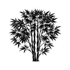Obraz premium realistic look bamboo tree vector art