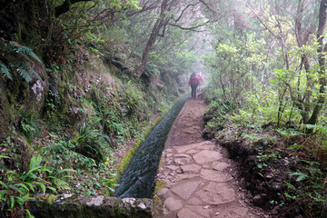Trek à Madère 2025 - Jour 10 (randonnée dans les Levadas et sur le site de Rabaçal, cascade de Risco, lacs do Vento et de Dona Beija)