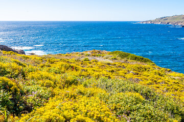 Painter's Point on Bluff Trail, Garrapata State Park, California coast view