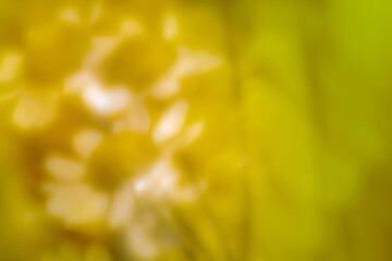 A colorful abstract background with soft, blurred colors