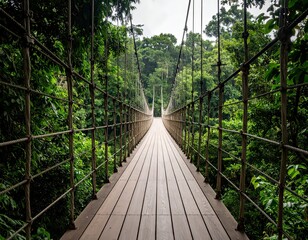Obraz premium Suspension Bridge Walkway in Rainforest