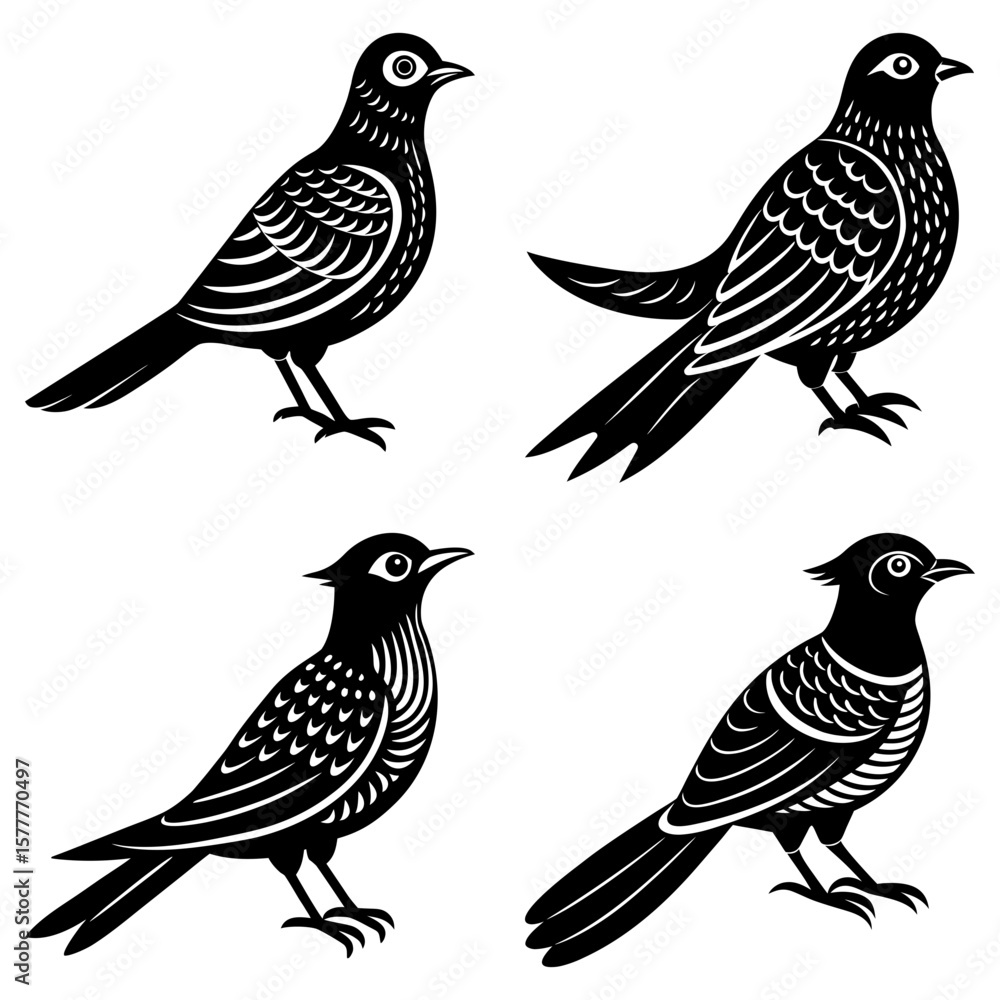 Poster four black and white birds with unique feather patterns and distinct poses in a graphic design style