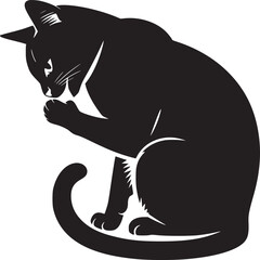 Black cat grooming vector illustration for pet lovers and animal graphic design projects isolated on white