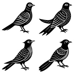 Four black and white birds with unique feather patterns and distinct poses in a graphic design style
