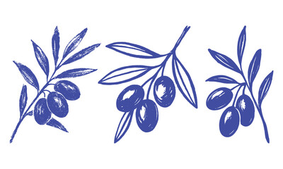 Olive Branch Collection – Hand Drawn Botanical Fruit Vector Set