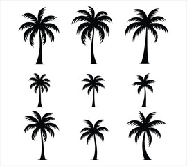 Curved Trunk Palm Tree Vector Collection