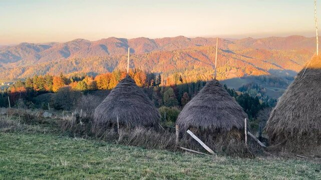 Ukraine, drone, flight in the Carpathians early in the autumn morning at sunrise near the city of Kosiv. Bright forests and dwellings of the Hutsul highlanders on the glades