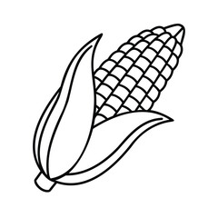 Handdrawn outline corn on the cob with leaves isolated on maize vegetable
