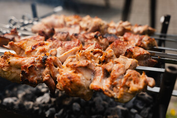 Juicy meat skewers are being grilled over hot charcoal, with smoke wafting up, creating a delicious and inviting atmosphere for outdoor cooking
