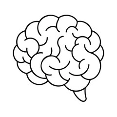 Outline brain on Handdrawn brain graphic design anatomy science