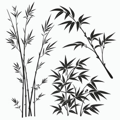 Black bamboo plants and leaves silhouette