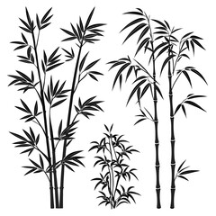 Black bamboo plants with leaves silhouette