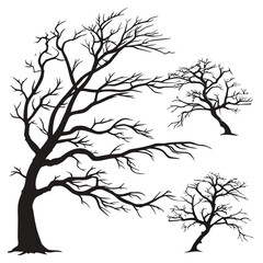 Black bare tree branches against white background silhouette