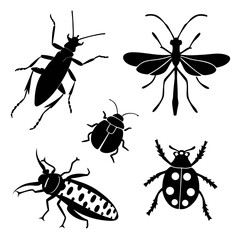 Black insect silhouettes on white background beetle