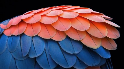 Obraz premium Close-up vibrant parrot feathers
