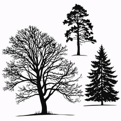 Black silhouettes of deciduous and coniferous trees