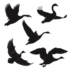Black silhouettes of flying birds wings